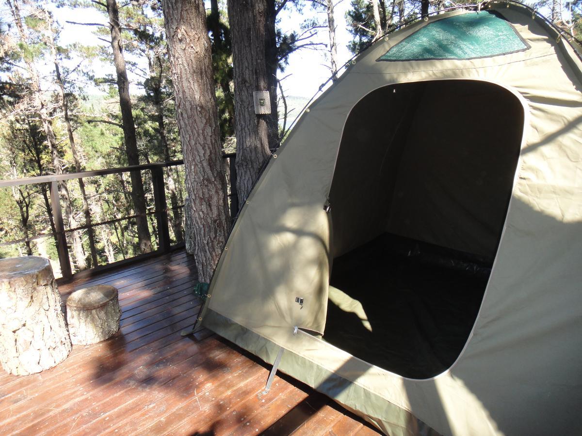 Eagles' Call Cottages And Tent Wildernis Eksteriør bilde
