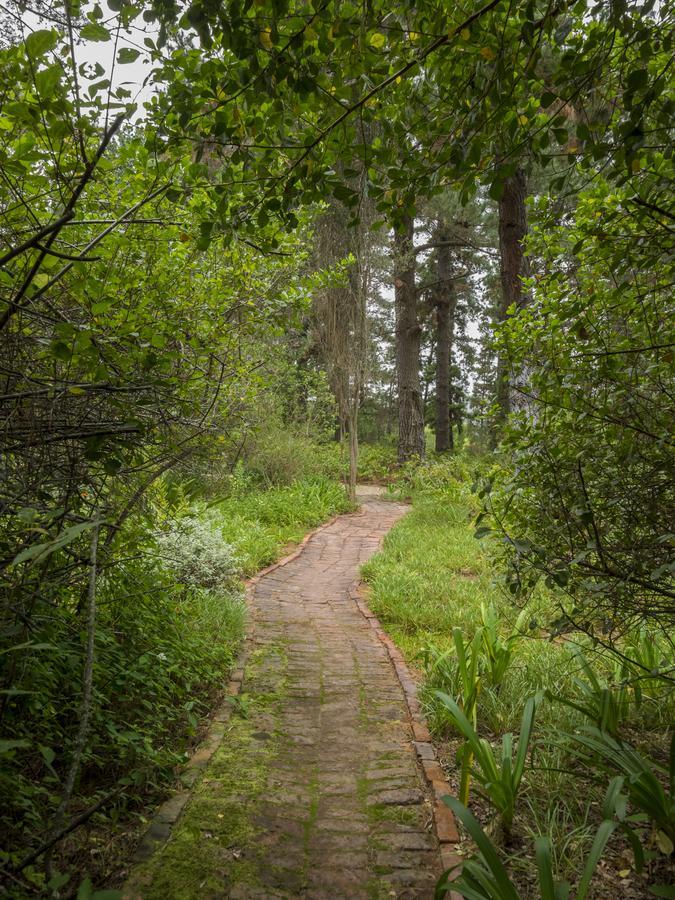 Eagles' Call Cottages And Tent Wildernis Eksteriør bilde