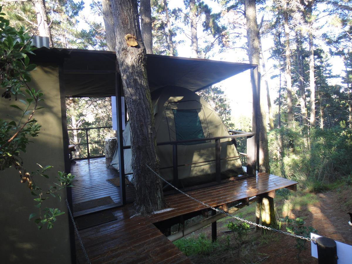 Eagles' Call Cottages And Tent Wildernis Eksteriør bilde